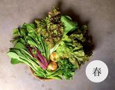 【つくだ農園】京都大原の里山から！旬の有機野菜BOXとジャムセット