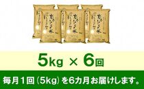 【9月20日より価格改定予定】☆全6回定期便☆ 岩手ふるさと米 5kg×6ヶ月 一等米ひとめぼれ 令和6年産  東北有数のお米の産地 岩手県奥州市産 おこめ ごはん ブランド米 精米 白米 国内産 精白米 精米仕立て ふるさと納税