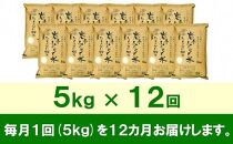 【9月20日より価格改定予定】☆全12回定期便☆ 岩手ふるさと米 5kg×12ヶ月 一等米ひとめぼれ 令和6年産  東北有数のお米の産地 岩手県奥州市産 おこめ ごはん ブランド米 精米 白米 国内産 精白米 精米仕立て ふるさと納税