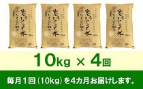 【9月20日より価格改定予定】☆全4回定期便☆ 岩手ふるさと米 10kg×4ヶ月 一等米ひとめぼれ 令和6年産  東北有数のお米の産地 岩手県奥州市産 おこめ ごはん ブランド米 精米 白米