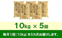 【9月20日より価格改定予定】☆全5回定期便☆ 岩手ふるさと米 10kg×5ヶ月 一等米ひとめぼれ 令和6年産  東北有数のお米の産地 岩手県奥州市産 おこめ ごはん ブランド米 精米 白米