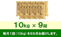 【9月20日より価格改定予定】☆全9回定期便☆ 岩手ふるさと米 10kg×9ヶ月 一等米ひとめぼれ 令和6年産  東北有数のお米の産地 岩手県奥州市産 おこめ ごはん ブランド米 精米 白米