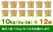 【9月20日より価格改定予定】☆全12回定期便☆ 岩手ふるさと米 10kg(5kg×2)×12ヶ月 一等米ひとめぼれ 令和6年産  東北有数のお米の産地 岩手県奥州市産 おこめ ごはん ブランド米 精米 白米 国内産 精白米 精米仕立て ふるさと納税