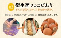 濃厚で甘くておいしい！ 福井ブランド「福地鶏」の卵 20個（10個入×2パック）