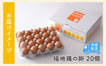 濃厚で甘くておいしい！ 福井ブランド「福地鶏」の卵 20個（10個入×2パック）