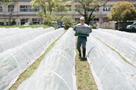 新鮮！農家直送の野菜セット［6回定期便／5～12月］