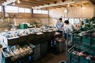 新鮮！農家直送の野菜セット［6回定期便／5～12月］