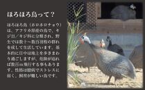 奄美 黒ほろほろ鳥 与論島産のほろほろ鳥でつくったブラウンマスタード 【 ほろほろ鳥 食鳥の女王 国産 ホロホロチョウ 加工品 鶏肉 とりにく 鳥 鶏 鹿児島県 与論島 ヨロン ご当地 グルメ 】