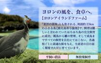 奄美 黒ほろほろ鳥 与論島産のほろほろ鳥でつくったブラウンマスタード 【 ほろほろ鳥 食鳥の女王 国産 ホロホロチョウ 加工品 鶏肉 とりにく 鳥 鶏 鹿児島県 与論島 ヨロン ご当地 グルメ 】