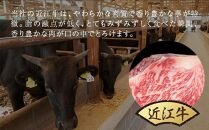 近江牛シャトーブリアンステーキ 150g（1枚）