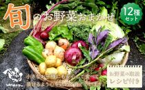 旬のお野菜おまかせ12種セット（3～5人）
