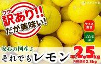 それでも すっぱいんじゃ 訳あり レモン B品  箱込2.5kg(内容量約2.3kg) 和歌山県有田産（サイズミックス）【みかんの会】