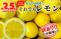訳あり レモン B品  箱込2.5kg(内容量約2.3kg) 和歌山県有田産（サイズミックス）【みかんの会】