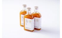 北の生姜家 辛口 生姜しろっぷ200ml×３本 保存料着色料不使用 農場生産 自家製しょうがとてんさい糖を贅沢に使用 岩手県奥州市江刺産 Dry