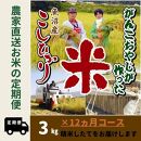 【特別栽培米】12か月定期便　がんこおやじが作った南魚沼産コシヒカリ白米３kg