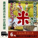 【特別栽培米】12か月定期便　がんこおやじが作った南魚沼産コシヒカリ白米６kg（３kg×２袋）