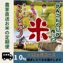 【特別栽培米】12か月定期便　がんこおやじが作った南魚沼産コシヒカリ白米１０kg（５kg×２袋）