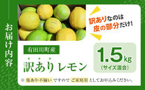 【有田川町】レモン&nbsp;和歌山県産&nbsp;訳あり&nbsp;国産レモン1.5kg