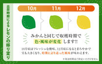 【有田川町】レモン&nbsp;和歌山県産&nbsp;訳あり&nbsp;国産レモン&nbsp;3kg