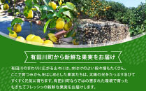 【有田川町】レモン&nbsp;和歌山県産&nbsp;訳あり&nbsp;国産レモン&nbsp;3kg