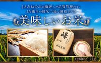 【ＪＡみねのぶ直送】令和6年産ななつぼし１０ｋｇ（５ｋｇ×２）