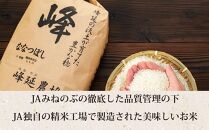 【ＪＡみねのぶ直送定期便】令和6年産ななつぼし１０ｋｇ（５ｋｇ×２）×３回