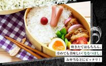 【ＪＡみねのぶ直送定期便】令和6年産ななつぼし１０ｋｇ（５ｋｇ×２）×６回