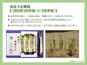 【数量限定】ＪＡなすの産地直送　大田原産　那須の春香うど　山うど１箱（約２ｋｇ／６～８本入り）