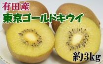 【数量限定】キウイフルーツの新品種「東京ゴールドキウイ」約3kg（サイズ混合）
