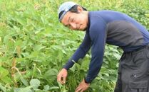 【先行予約】【バランス農法】農薬や肥料を使わずに育てた枝豆　ユキホマレ 1kg（2024年8月中旬発送予定）