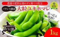 【バランス農法】農薬や肥料を使わずに育てた枝豆　大粒ユキホマレ　1kg