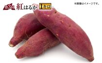 北海道産自然栽培のさつまいも３種各１キロ【シルクスイート】・【なると金時】・【紅はるか】