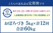 【12か月定期便】 おぼろづき 5kg ×12回 雪蔵工房 幻の米  【令和6年産】