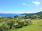 【石井製麺所】手延べうどん 半生タイプ 10袋入り