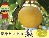 ★8月発送★果汁滴る絶品の梨(約２Kg）