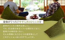 【大東寝具】tetra grande koke（ビッグサイズ）【ビーズクッション座椅子】［ 京都 寝具 老舗 クッション 人気 おすすめ くつろぎ 寝ごこち お取り寄せ 通販 送料無料 ふるさと納税 ］