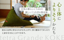 【大東寝具】tetra grande koke（ビッグサイズ）【ビーズクッション座椅子】［ 京都 寝具 老舗 クッション 人気 おすすめ くつろぎ 寝ごこち お取り寄せ 通販 送料無料 ふるさと納税 ］