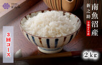【頒布会】雪温精法　南魚沼産新之助2kg　全3回