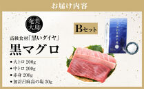 鹿児島県奄美大島産高級食材『黒いダイヤ』黒マグロ　Bセット|マグロ&nbsp;まぐろ&nbsp;黒マグロ&nbsp;クロマグロ&nbsp;養殖マグロ&nbsp;冷凍マグロ&nbsp;マグロ刺身&nbsp;マグロ中トロ&nbsp;マグロ赤身&nbsp;お取り寄せ&nbsp;人気&nbsp;おすすめ&nbsp;奄美大島&nbsp;鹿児島県&nbsp;瀬戸内町