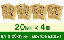 【9月20日より価格改定予定】☆全4回定期便☆ 岩手ふるさと米 20kg(10kg×2)×4ヶ月 一等米ひとめぼれ 令和6年産  東北有数のお米の産地 岩手県奥州市産 おこめ ごはん ブランド米 精米 白米