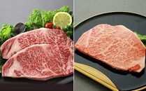 鹿児島産 A4等級 黒毛和牛ステーキ 食べ比べ　合計760g サーロイン x2枚 ロースステーキ x2枚