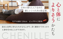 【大東寝具】tetra シェニール（ビッグサイズ）【ビーズクッション座椅子】（パール）［ 京都 寝具 老舗 クッション 人気 おすすめ くつろぎ 寝ごこち お取り寄せ 通販 送料無料 ふるさと納税 ］