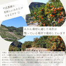 農家直送！有田みかん（約3kg 2Sサイズ（小玉）秀品）とジュースのセット 平武農園 ～蛍飛ぶ町から旬の便り～