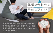 【大東寝具】tetra 8号帆布（ビッグサイズ）【ビーズクッション座椅子】（黒）［ 京都 寝具 老舗 クッション 人気 おすすめ くつろぎ 寝ごこち お取り寄せ 通販 送料無料 ふるさと納税 ］