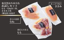 奄美 黒ほろほろ鳥 　お試しセット（もも むね ささみ）【 ほろほろ鳥 もも肉 むね ささみ肉 食鳥の女王 国産 ホロホロチョウ 鶏肉 とりにく 鳥 鶏 鹿児島県 与論島 ヨロン ご当地 グルメ 】