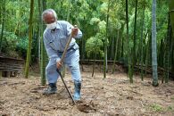 【筍&nbsp;専門店】※2026年4月中旬～発送※&nbsp;京の伝統野菜京たけのこ（塚原たけのこ）