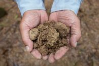 【筍&nbsp;専門店】※2026年4月中旬～発送※&nbsp;京の伝統野菜京たけのこ（塚原たけのこ）