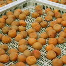 【贈答用】紀州南高梅 しそ風味梅干 400g 化粧箱入 【US21】