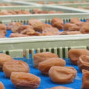 【贈答用】紀州南高梅 はちみつ入り味梅 400g 化粧箱入 【US22】