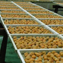 【贈答用】紀州南高梅 うす味梅 400g 化粧箱入 【US25】